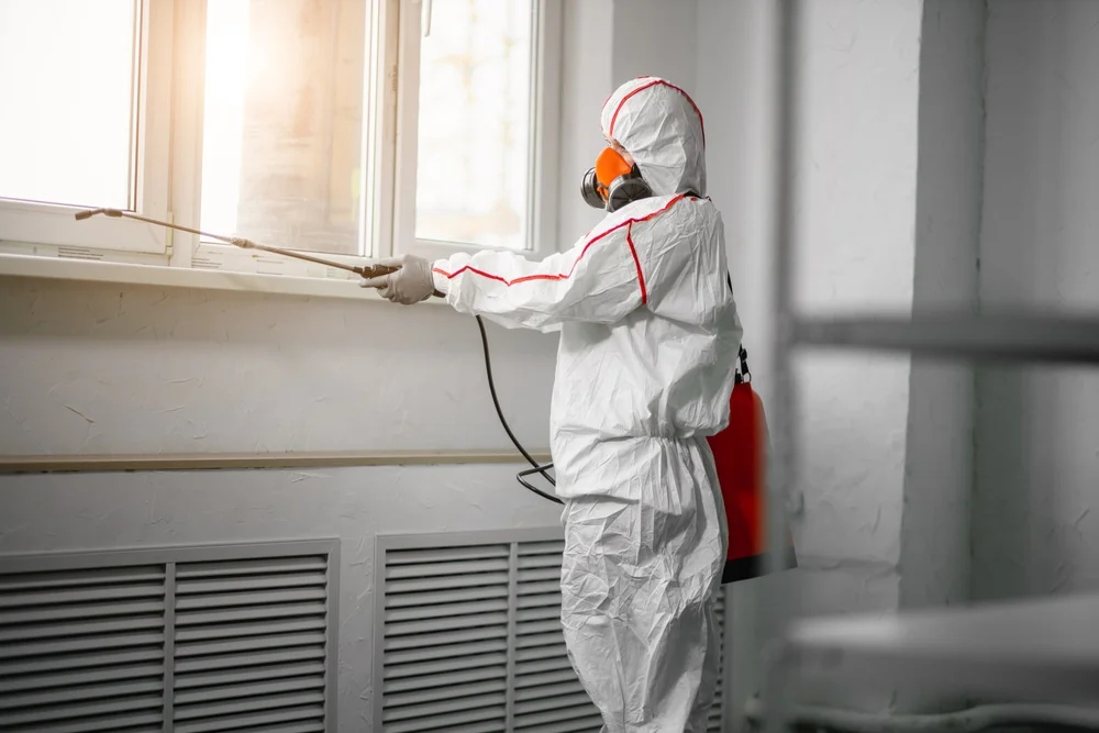 Professional mold remediation services in State Farm, VA